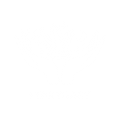 Fidrygasy
